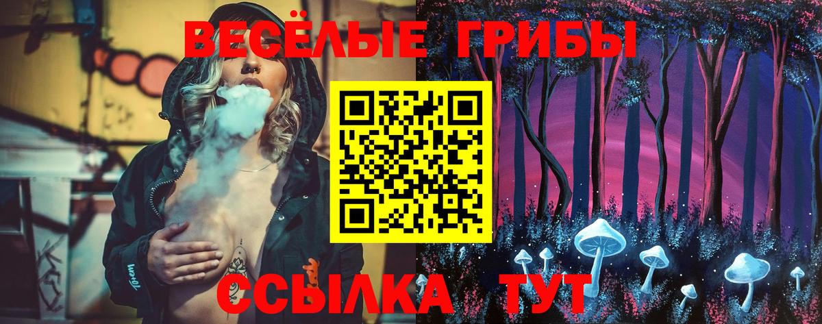 Сатка  Галлюциногенные грибы мицелий  Вход с VPN  Галлюциногенные грибы MAGIC MUSHROOMS 