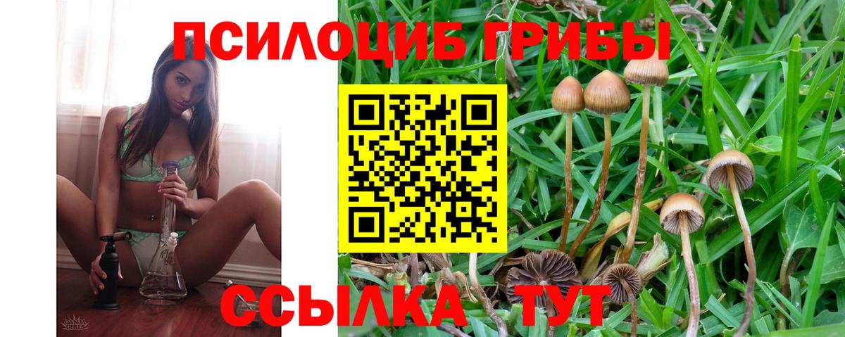Псилоцибиновые грибы мухоморы Сатка