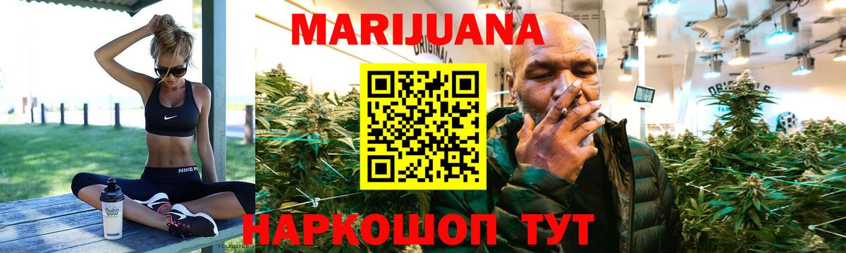 Бошки Шишки планчик  Вход с VPN  Конопля Bruce Banner  Сатка  Марихуана гибрид 